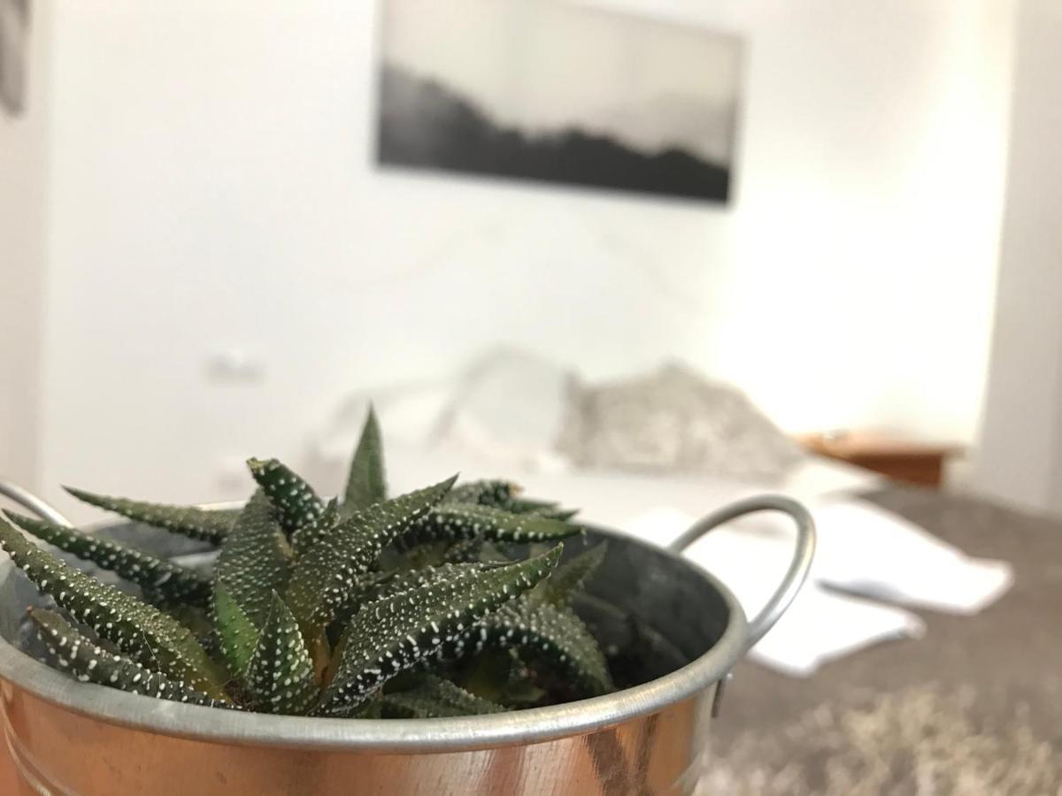 Apartamentos Arha Potes Exteriér fotografie